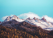 乐鱼APP下载-【观察】点球泛滥手球暴增 英超为何如此新气象？