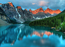 Leyu Sports-你爱吃的网红凤爪，生产工人为何一口不吃？其用工业双氧水漂白，药厂参与，黑产链终被